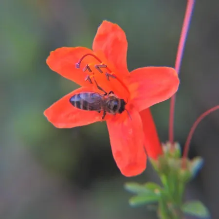 Casa Romantica Летний дом *